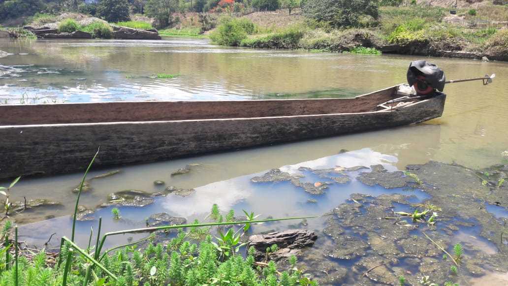 Mortandade de Peixes no Rio Pardo assusta moradores de Camacã e regiã
